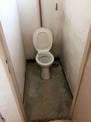 Náhodný výběr z galerie